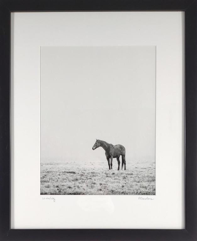 Artwork by Anna Smolens, Anna Smolens 'In The Fog' Horse Photo Print, Made of Black and white with black wooden frame