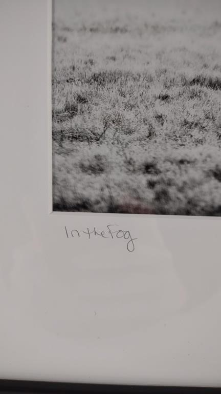 Artwork by Anna Smolens, Anna Smolens 'In The Fog' Horse Photo Print, Made of Black and white with black wooden frame