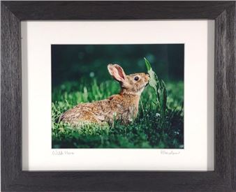 Anna Smolens Signed 'Wild Hare' Framed Print - Anna Smolens