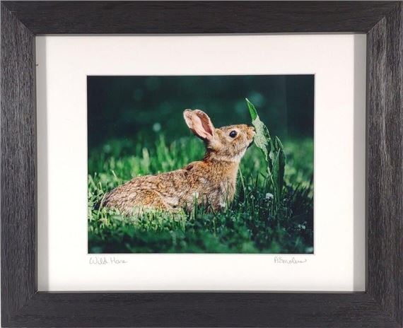 Anna Smolens Signed 'Wild Hare' Framed Print