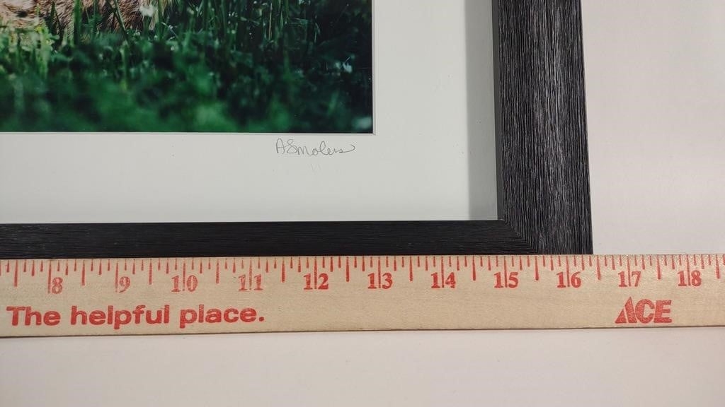 Artwork by Anna Smolens, Anna Smolens Signed 'Wild Hare' Framed Print, Made of Print