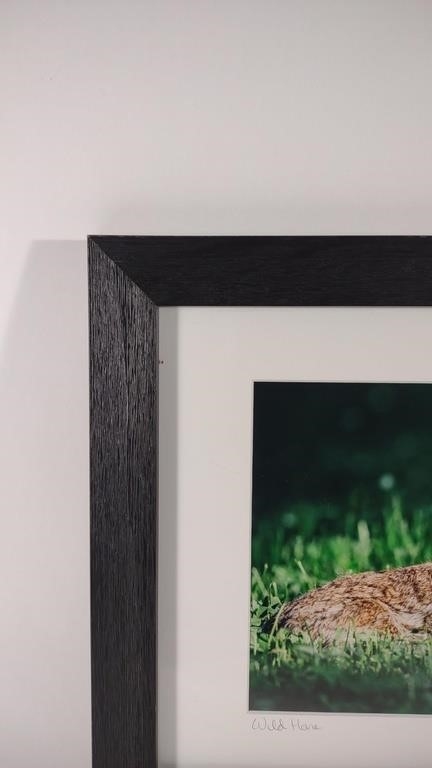 Artwork by Anna Smolens, Anna Smolens Signed 'Wild Hare' Framed Print, Made of Print