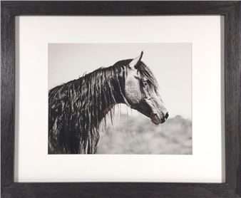 Anna Smolens B&W Horse Print in Frame - Anna Smolens