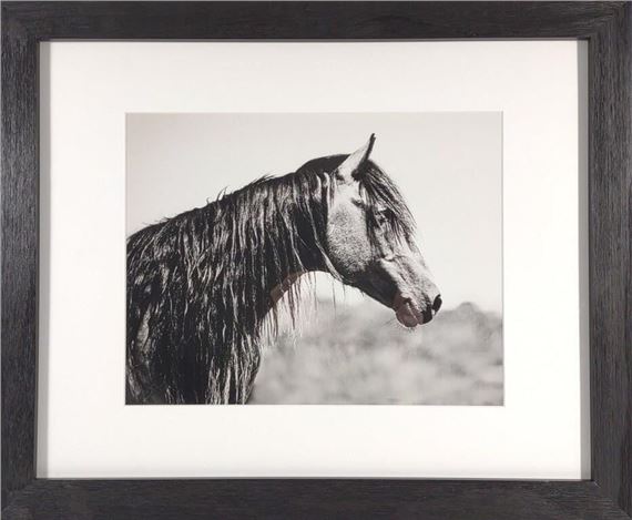 Anna Smolens B&W Horse Print in Frame by Anna Smolens, dated 2014