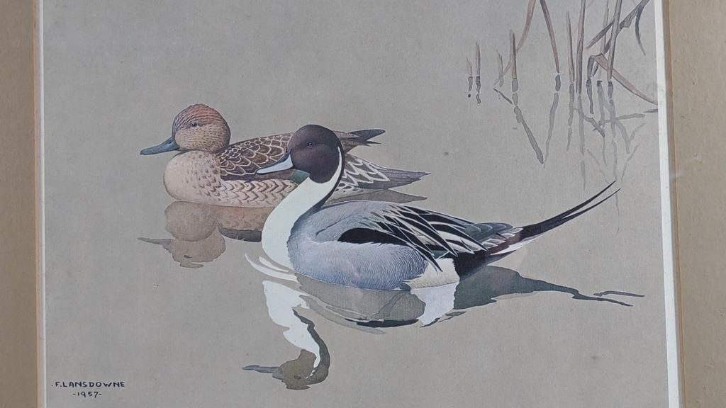 James Fenwick Lansdowne J. Fenwick Lansdowne 1957 Duck Print in Frame