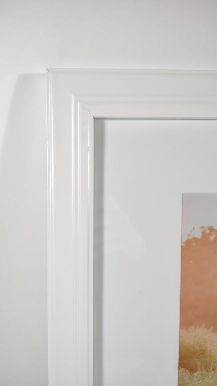 Artwork by Anna Smolens, Anna Smolens Signed 'White Horse' Framed Print, Made of print