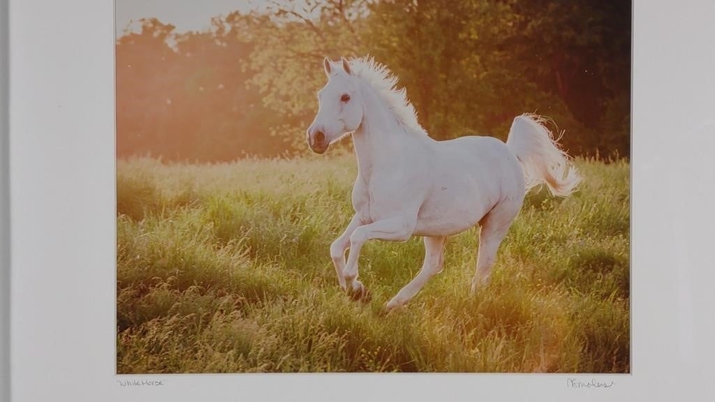 Artwork by Anna Smolens, Anna Smolens Signed 'White Horse' Framed Print, Made of print