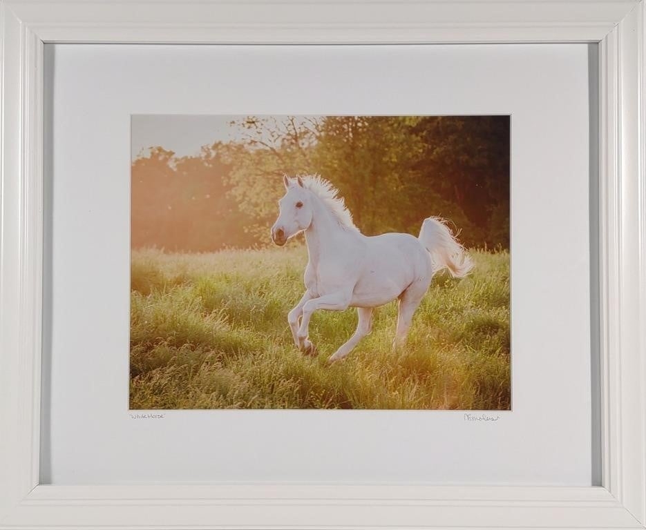 Artwork by Anna Smolens, Anna Smolens Signed 'White Horse' Framed Print, Made of print