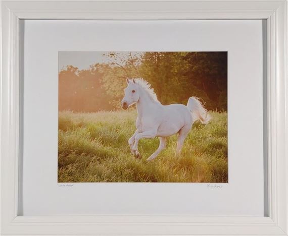 Anna Smolens Signed 'White Horse' Framed Print