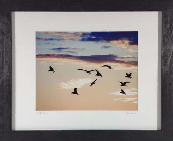 Anna Smolens Signed 'The Birds' Framed Print by Anna Smolens