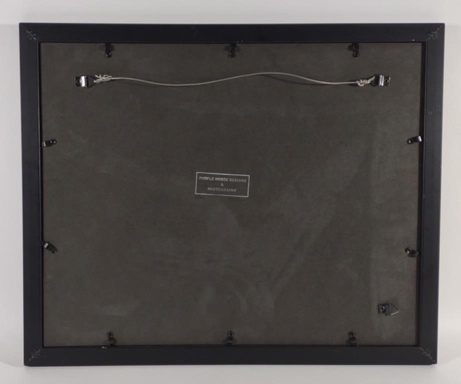 Artwork by Anna Smolens, Anna Smolens Framed Photograph Print of Horse, Made of photograph print