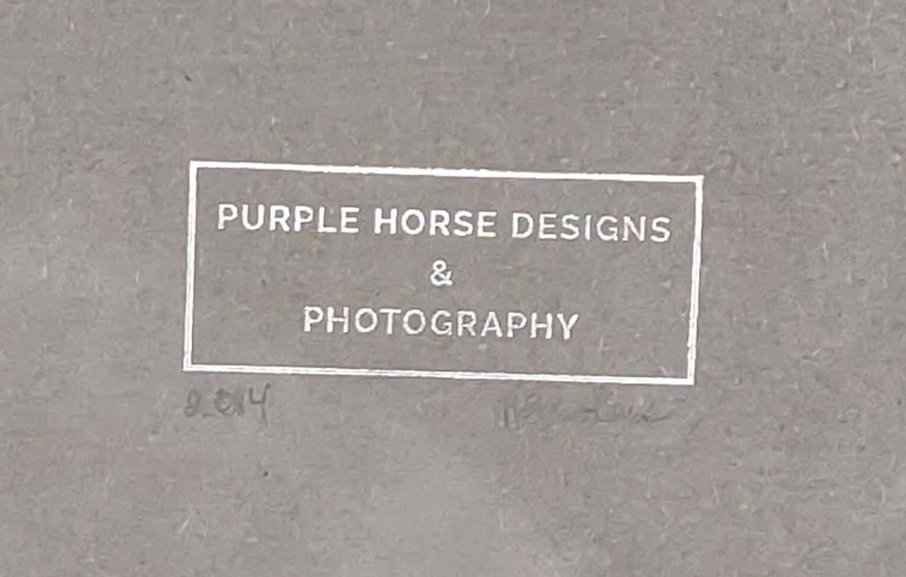 Artwork by Anna Smolens, Anna Smolens Framed Photograph Print of Horse, Made of photograph print