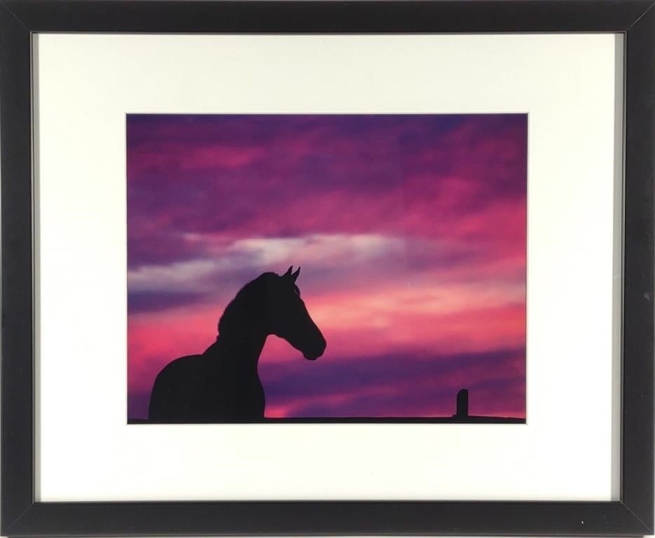Artwork by Anna Smolens, Anna Smolens Framed Photograph Print of Horse, Made of photograph print
