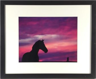 Anna Smolens Framed Photograph Print of Horse - Anna Smolens