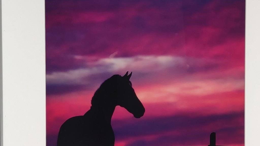 Artwork by Anna Smolens, Anna Smolens Framed Photograph Print of Horse, Made of photograph print