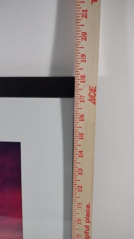 Artwork by Anna Smolens, Anna Smolens Framed Photograph Print of Horse, Made of photograph print