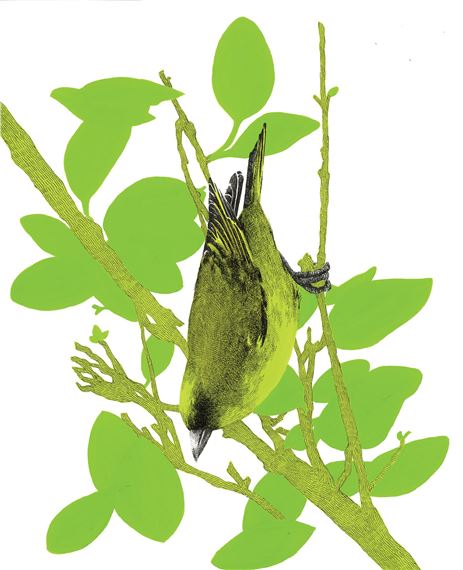 Sarah Kaizar: Rare Air - Michener Art Museum