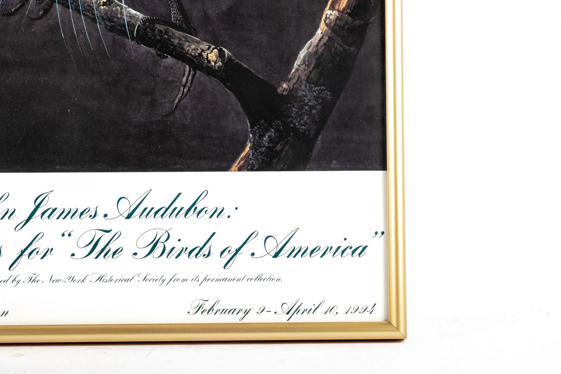 Artwork by John James Audubon, The Birds of America, Made of poster