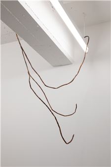 Isabella Loudon: Lyre Lyre - Robert Heald Gallery