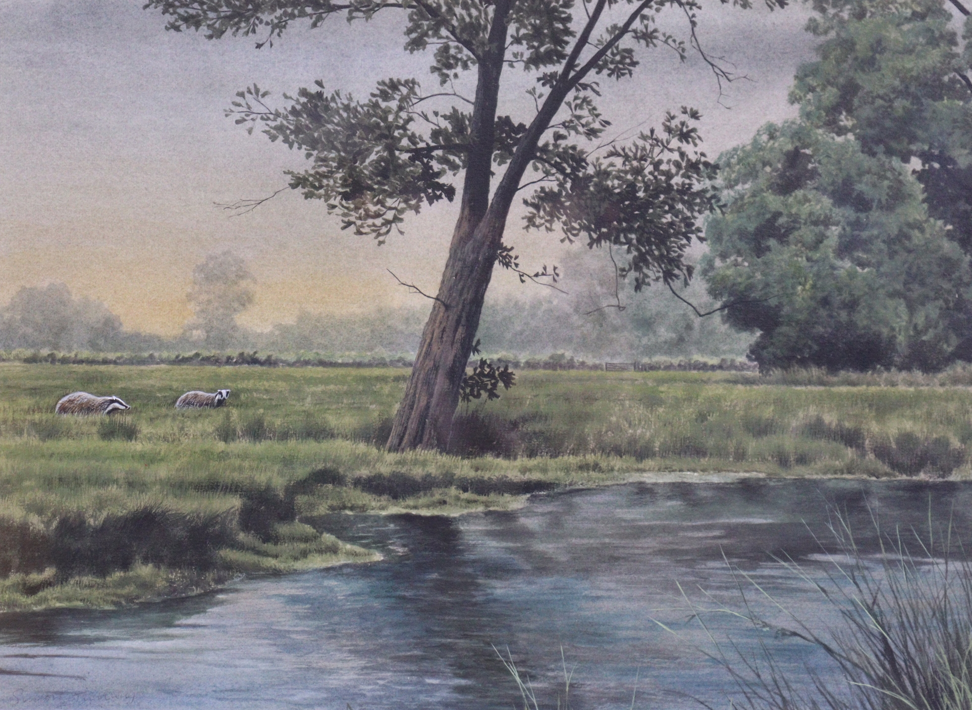 Simon Turvey | Badgers going to drink | MutualArt