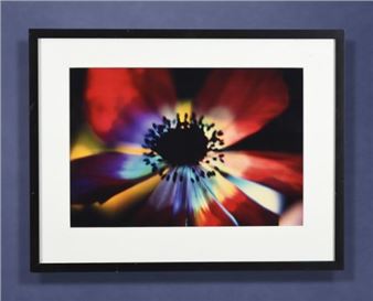 STAR - Delilah Dyson