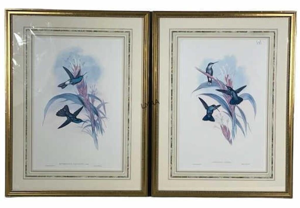 TWO FRAMED & MATTED AUDUBON PRINTS. by John James Audubon