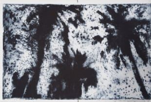 Mnemosyne's Reverie. Master of Fine Arts Exhibition - Patricia & Phillip Frost Art Museum