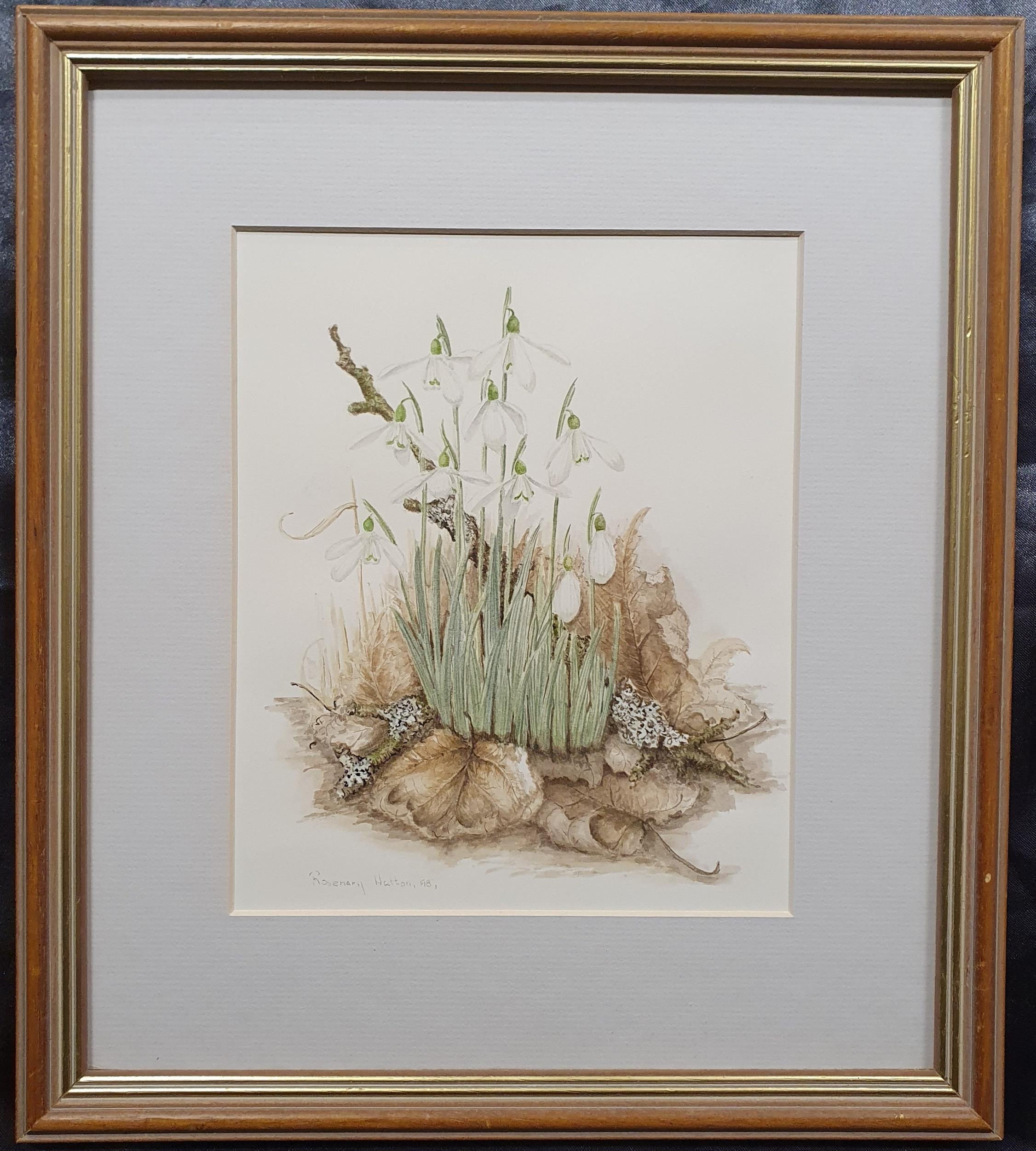 Rosemary Hatton | Watercolour of snowdrops | MutualArt