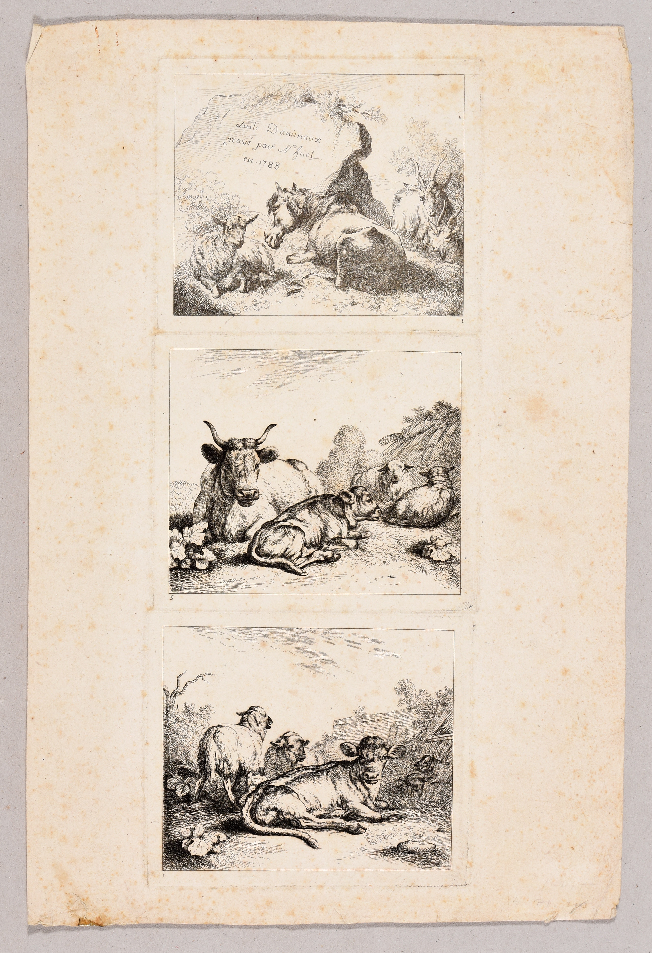 Artwork by Nicolas Huet the Elder, Series of 12 prints with animals., Made of Etchings
