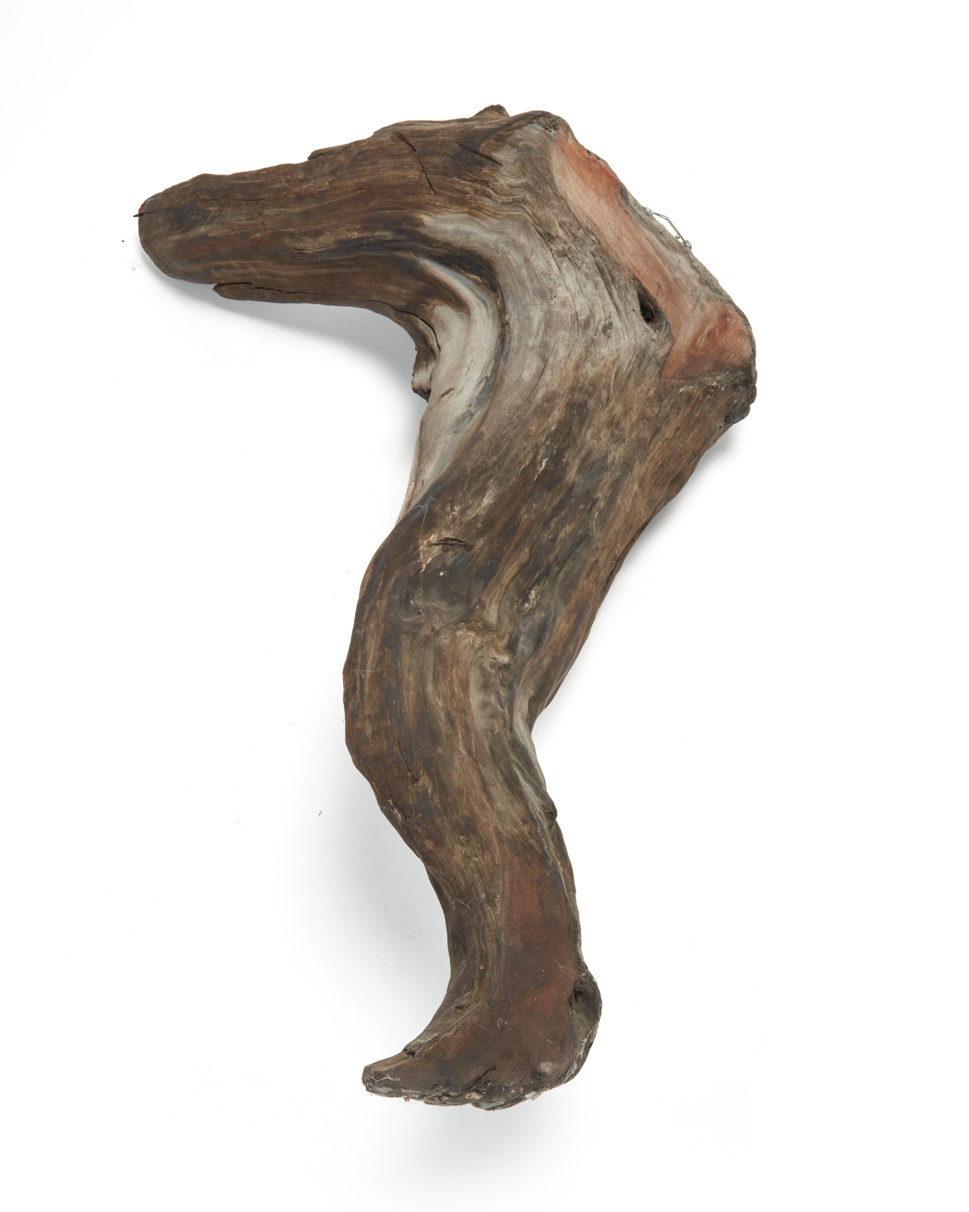 Artwork by Sig De Tonancour, Marden, Made of Driftwood