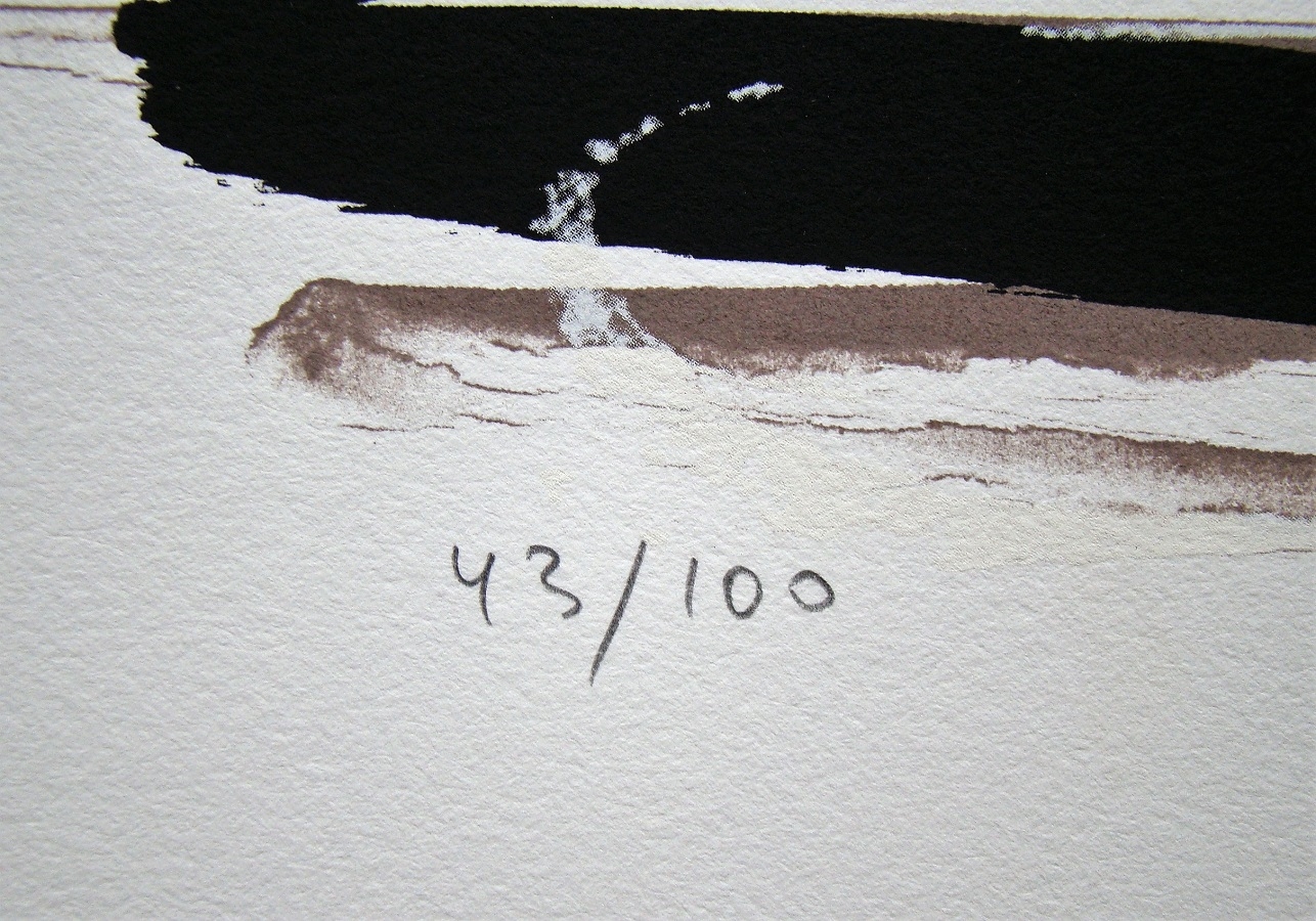 Artwork by Ika Huber, Verses VII, Made of serigraphy in colors on vélin de bfk rives