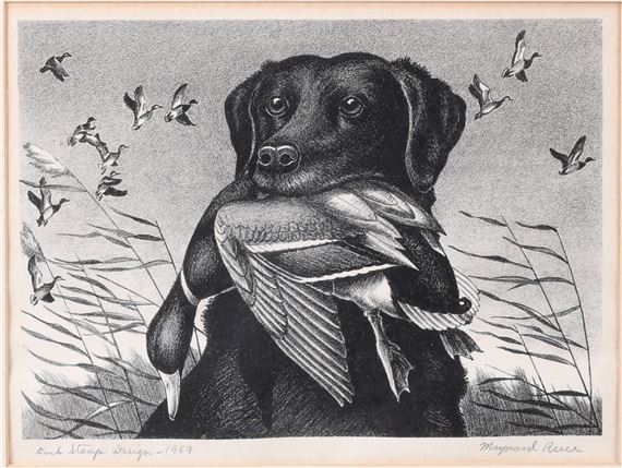 Maynard Reece | MIGRATORY BIRD HUNTING STAMP (1959) | MutualArt