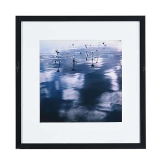 FROM THE SERIES 'BREAKING THE SURFACE - Magali Nougarède