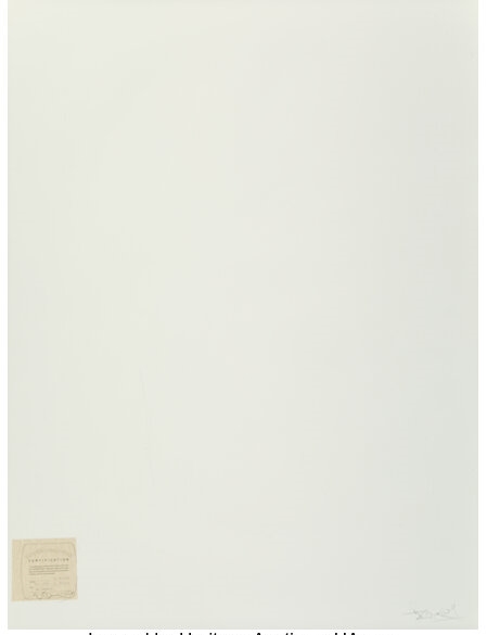 Artwork by Harvey Edwards, Leg Warmers, Made of Oversized dye bleach print