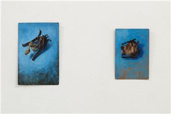 Installation view of Benjamin Butler exhibition at Charim Schleifmühlgasse.