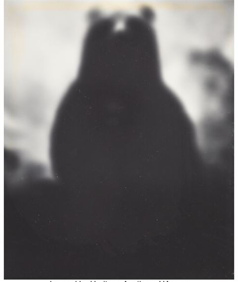 Robert Stivers | Group of 4 photographs (2000s) | MutualArt