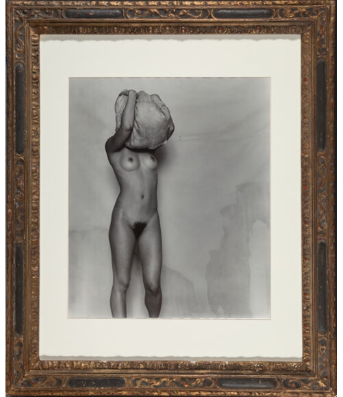 Artwork by Mario Rizzi, Ivy, Made of Gelatin silver print