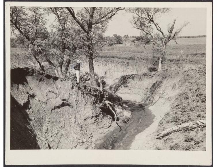 Arthur Rothstein | Soil Erosion, Richardson County (1937) | MutualArt