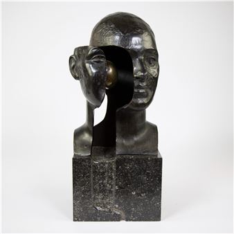 Homo Erectus - Raf Verjans