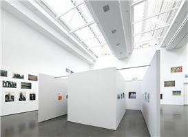 Peter Piller Returns to Nature