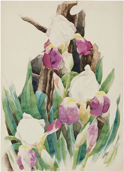 Iris by Charles Demuth, Executed in 1933