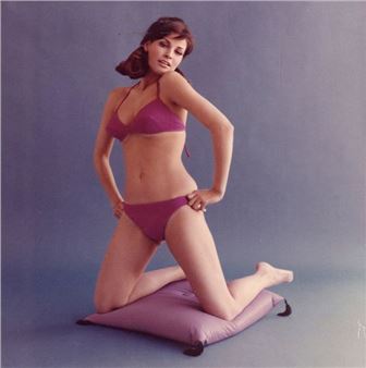 Raquel Welch - Don Ornitz