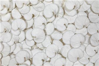 Panta Rhei: Everything Flows - Ippodo Gallery, Tokyo