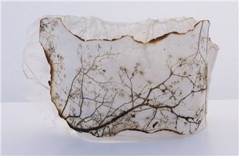 Tree Speech - Cove Street Arts