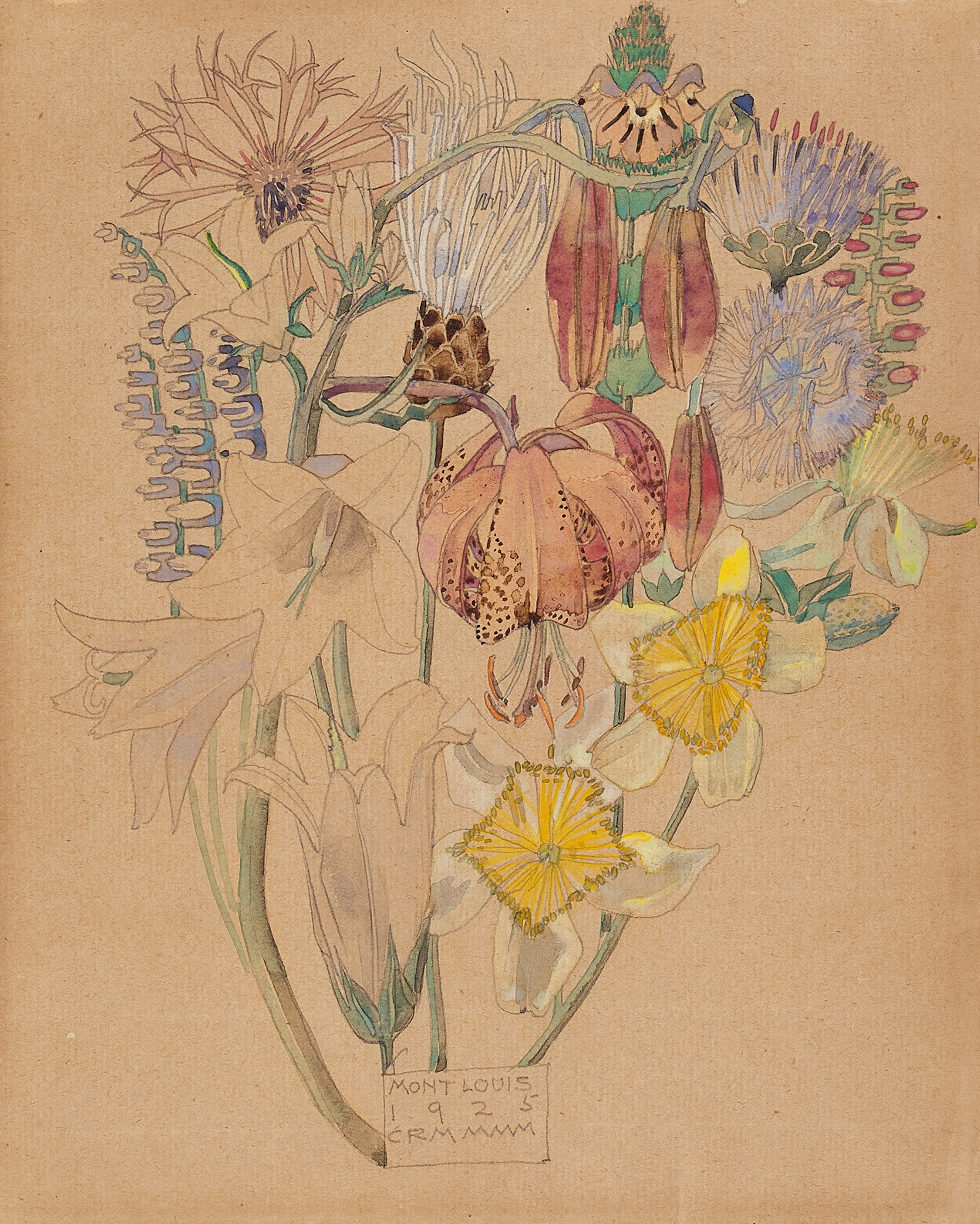Artwork by Charles Rennie Mackintosh, Mont Louis - Flower Study, Made of pencil and watercolor on paper