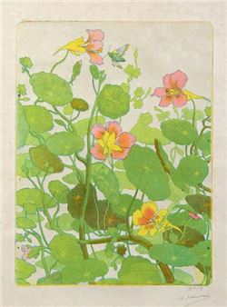 Bindweed and dragonfly - Flowers Picture