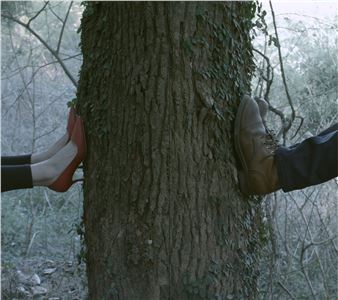 Chen Dandizi: Hollow Garden - Hua International, Beijing