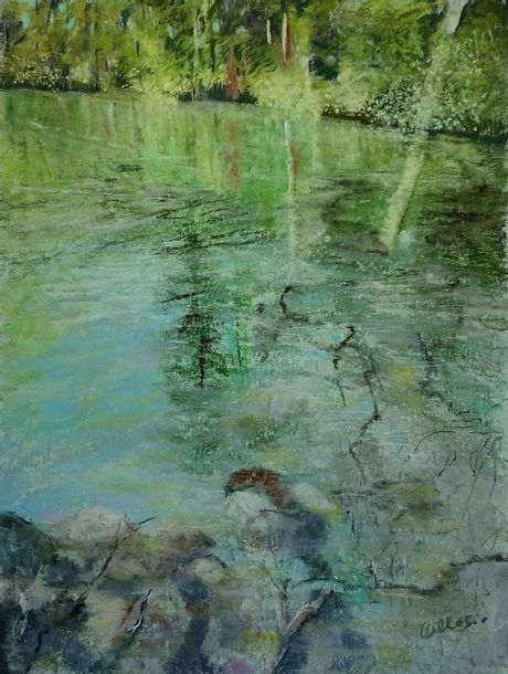 Artwork by Claudette Allosio, Reflets au parc des étangs Maupertuis, Made of Dry pastel on pastel paper