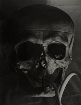 . Vanity. Large silver photographic print - Däne Jacob Kjeldgaard