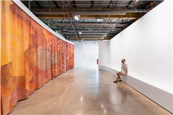 The Contemporary Austin presents Mexico City artist Duo Celeste in 'Host'